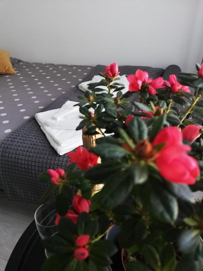 Marlen'S Apartment Bucharest Luaran gambar